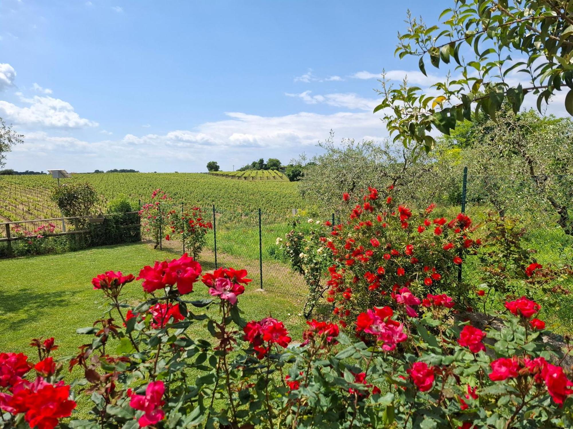 Villa Poggio Bardolino Exterior foto
