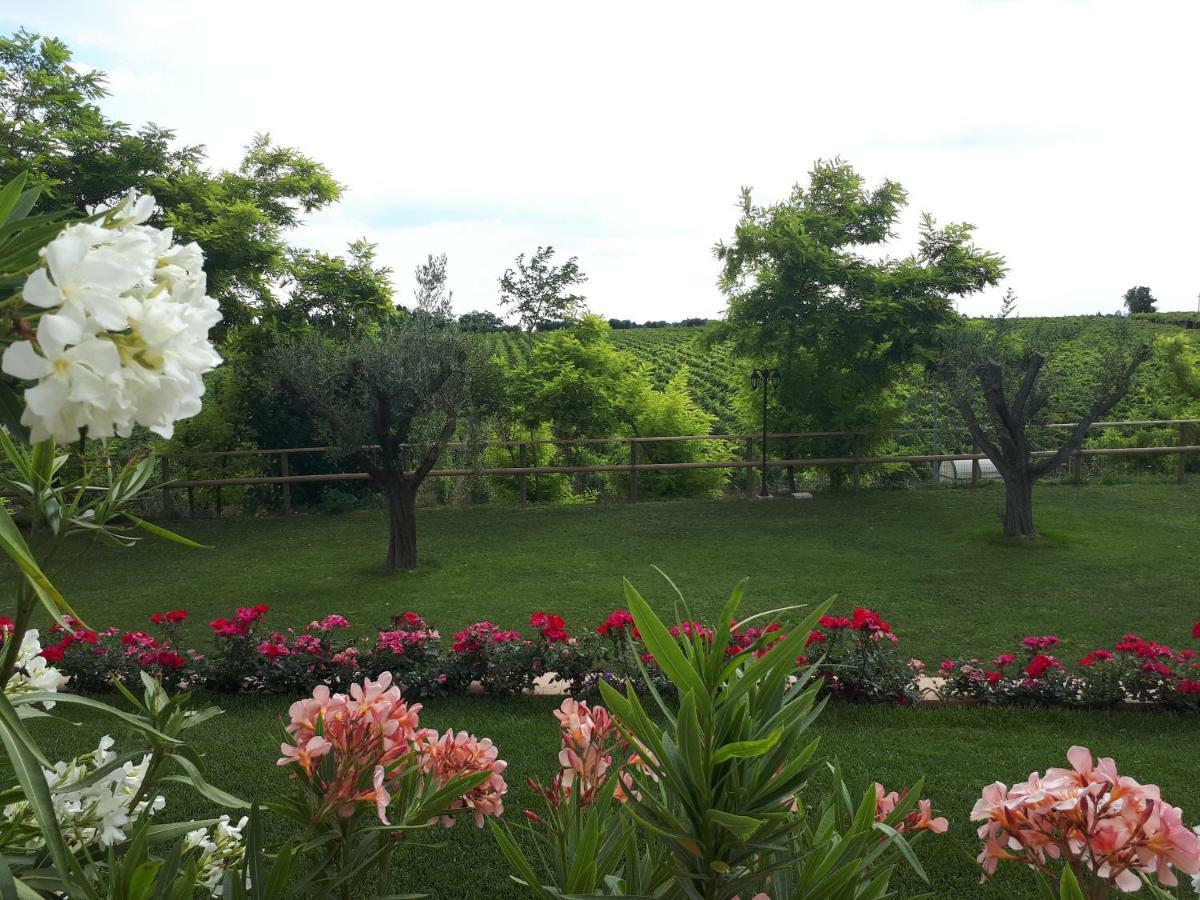 Villa Poggio Bardolino Exterior foto