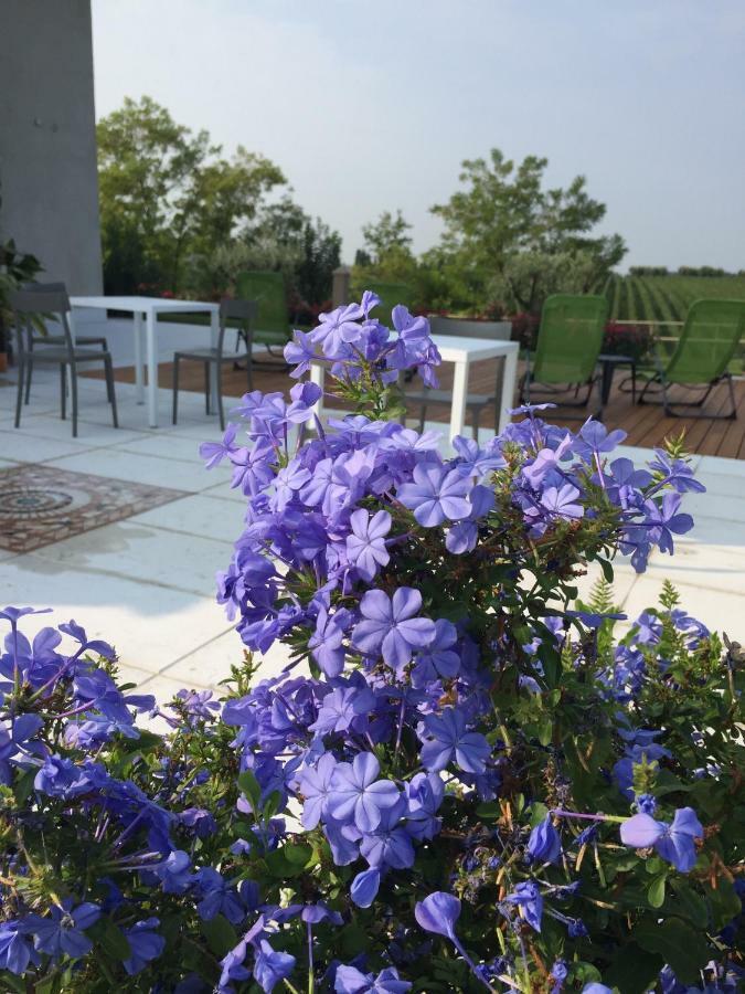 Villa Poggio Bardolino Exterior foto